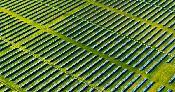 Griendtsveen krijgt de eerste energietuin van Nederland | De Peel - Eindhovens Dagblad