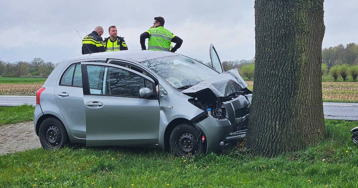 Automobilist overleden bij botsing tegen boom.