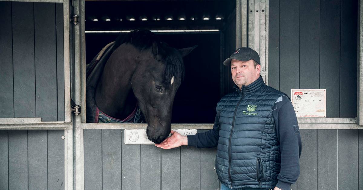 “Paard verkopen of spaarrekening plunderen. Het zijn onze enige opties, anders overleven we dit