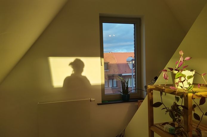 'De zolderkamer' van Eline De Keulenaer.
