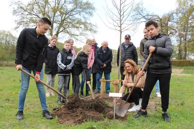 Oekraïne krijgt eigen vrijheidsboom in Geesteren: vluchtelingen en kinderen planten ’m samen