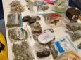 3,5 kilo softdrugs in beslag genomen in Eindhoven;  ‘Verdachte verklaarde dat het voor eigen gebruik was’