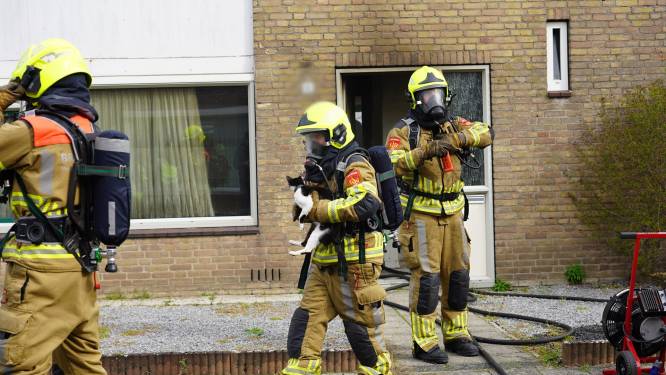 Brandweer redt kat uit woning bij keukenbrand in Dongen, veel schade