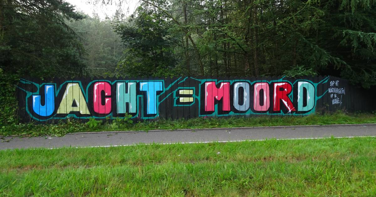 STOP HET BLOEDVERGIETEN SBB heeft nieuwe #schiettent bloed zal vloeien Grote campagne tegen recordafschot zwijnen-Veluwe .