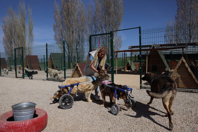 Buket Özgünlü aan het werk in de opvang.