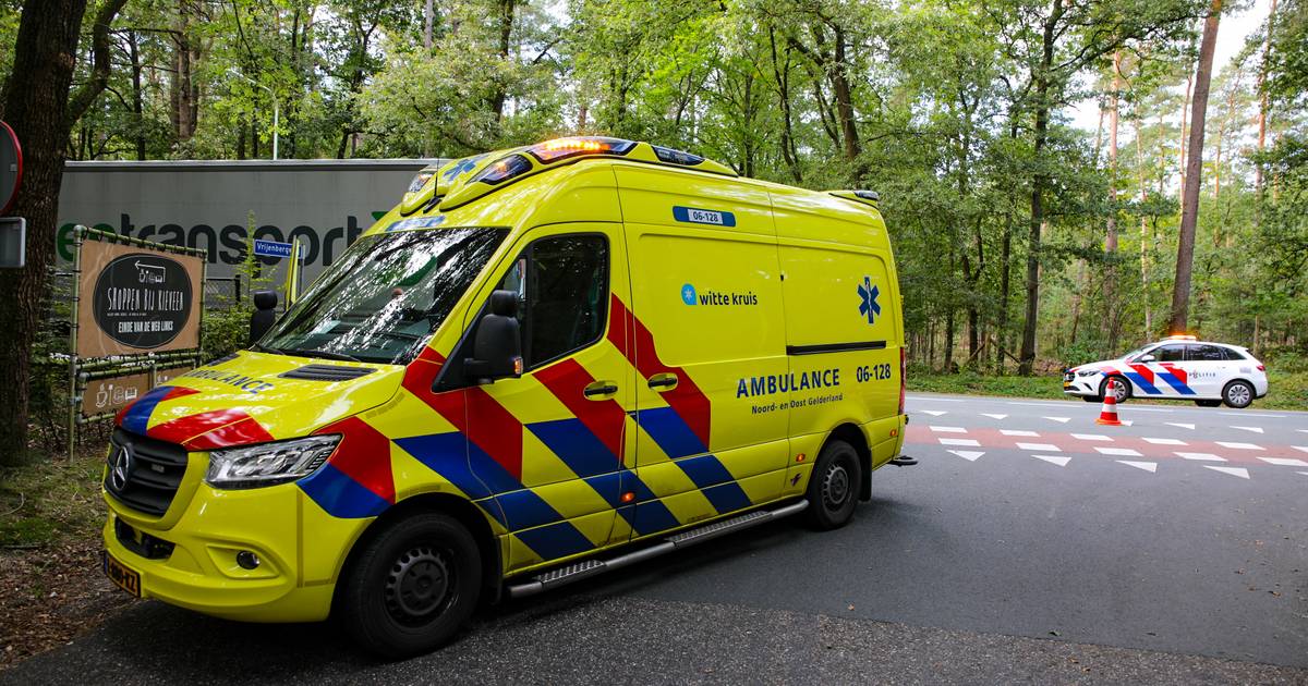 Fietsster (78) naar ziekenhuis na aanrijding met vrachtwagen bij Loenen