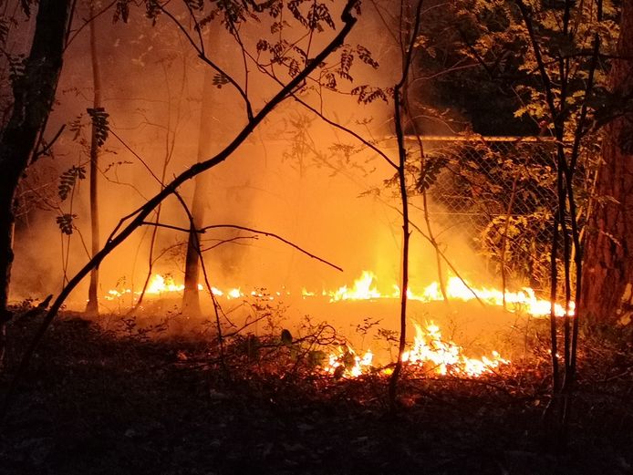 De kans op natuurbranden, zoals op deze foto uit 2018 in Leusden, is erg groot door de droogte.
