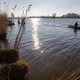 Staatsbosbeheer stapt naar de rechter om natuurherstelplan Rijkswaterstaat