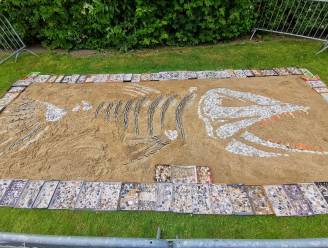 ‘Skelet’ van prehistorische reuzenvis is blikvanger voor Uitopia
