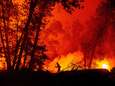 Bosbrand is qua oppervlakte grootste ooit in Californië, evacuatie voor half miljoen mensen in Oregon 