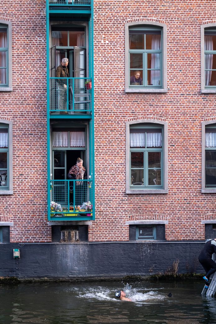 Zes presentatoren van De Warmste Week waagden zich aan een ijsberenduik in de Dijle.