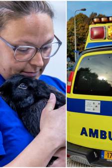 Hettie is razend na stelen lamp van dierenambulance: ‘Wie doet zoiets?’