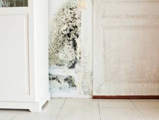 Vochtproblemen merk je het makkelijkst op in de winter: hier moet je op letten 