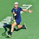 Goffin in derde ronde tegen Spanjaard Ramos-Vinolas