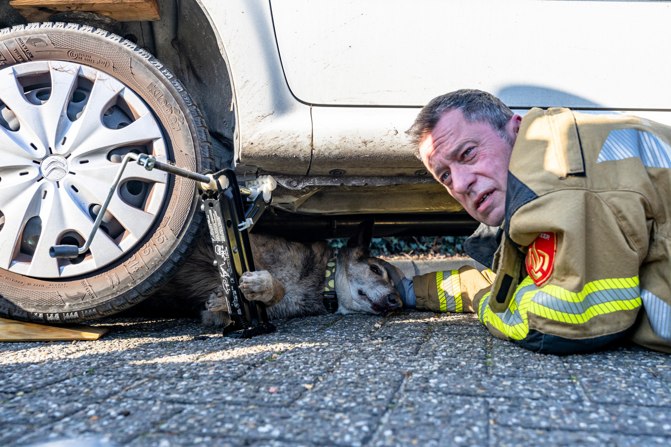 Hond door brandweer onder auto uit gehaald na aanrijding in Oosterhout Foto AD.nl