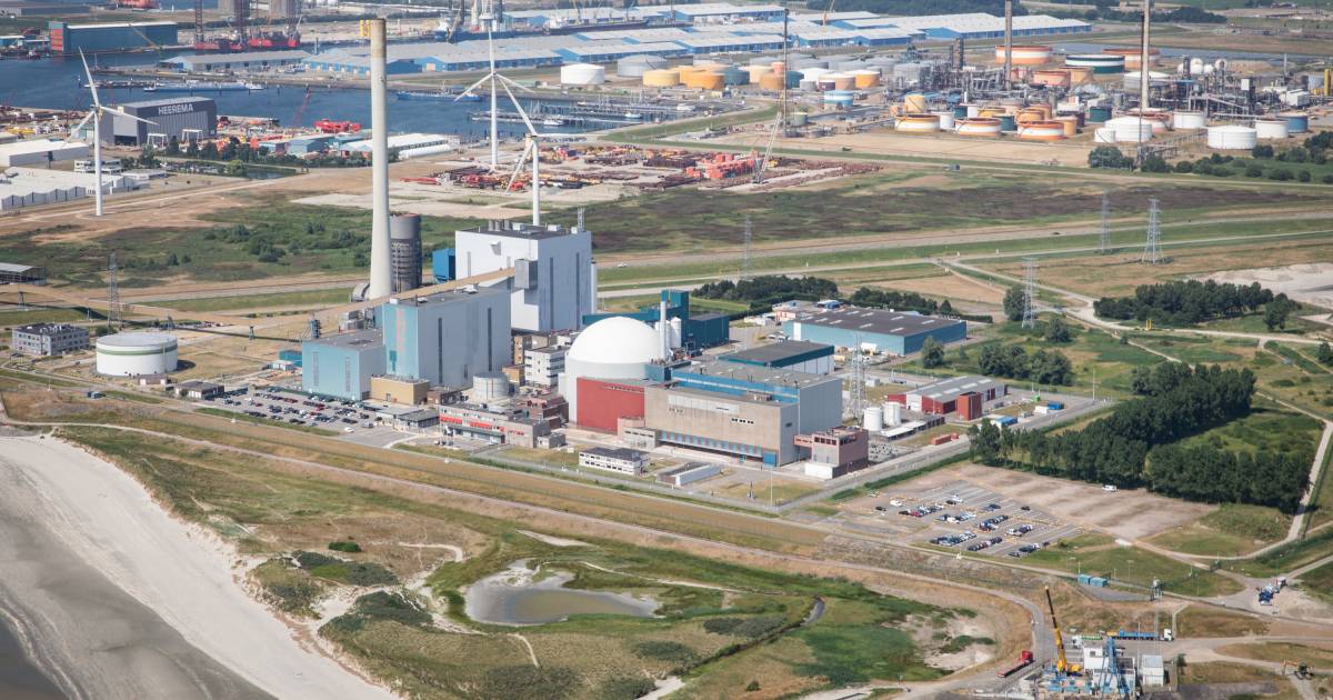 OPINIE | Petra Luteijn over draagvlak voor kerncentrales: ‘Als geboren Zeeuw heb ik er genoeg van’