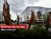 Stelling | Prima dat MST mogelijk kunstmatige intelligentie inzet om te bepalen wanneer patiënt van ic af kan