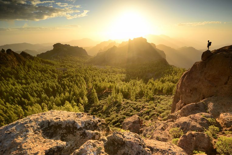 Gran Canaria kleurt oranje op de Europese coronakaart Beeld Getty Images