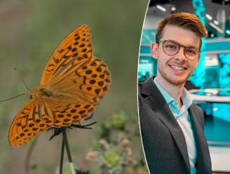 Zo maak je van jouw tuin een vlinderparadijs: “Gebruik zeker geen pesticiden en zo weinig mogelijk meststoffen”