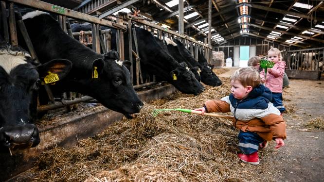 Elize wilde méér doen dan alleen koeien melken, dus begon ze een kinderopvang op de boerderij