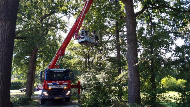 'Summerdrop': grote takken laten los van bomen door droogte, brandweer neemt gevaar weg 