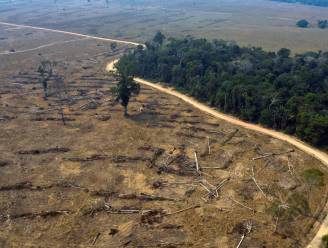 Bolsonaro klaagt over"brutale desinformatiecampagne" over Amazonewoud, terwijl ontbossing gestaag verder gaat