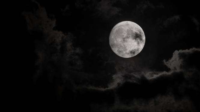 Volle maan zorgt voor verlichting tijdens avondwandeling over de Gorsselse Heide