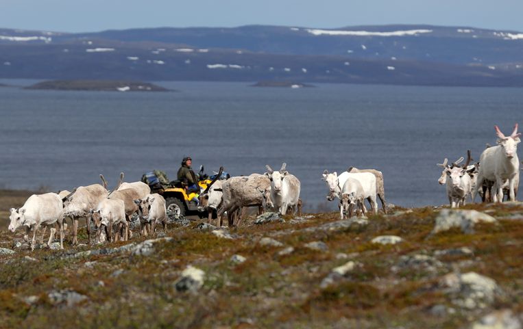 Sannhetskommisjoner kartlegger urettferdighet mot de svenske og finske samene