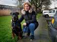 Braaf! Dit is Buddy, de hond die in Gorinchem een overvaller beet