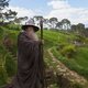 Filmmakers Hobbit ontkennen mishandelen dieren