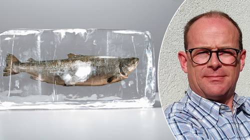 “Vries verse vis uit supermarkt nooit in”