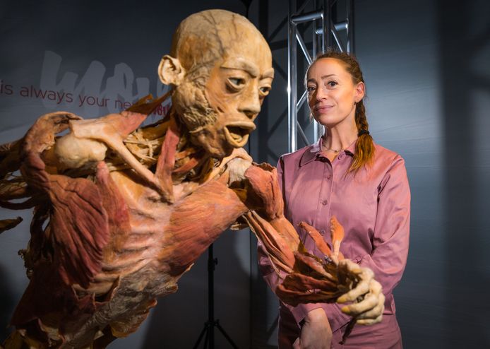Nina De Man schreef recent de teksten voor 'Real Bodies' (foto), een tentoonstelling in het Sportpaleis van allerlei anatomische objecten.