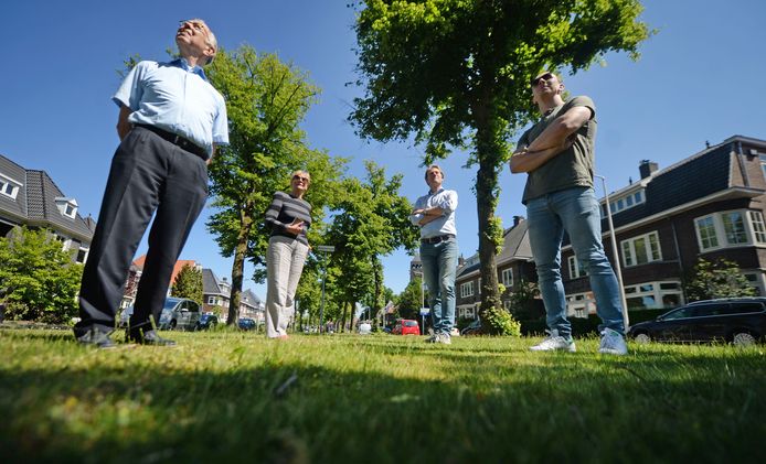 Buurtbewoners aan de Lasondersingel zijn niet blij met het plan 42 lindes om te hakken. Vlnr: Piet Okhuizen, mevrouw Michalides, Marc Leeuw en Robert Westerman.