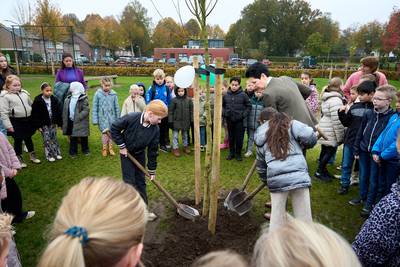 Natuurlijk spelen bij De Sprankel in Lieshout: ‘Keien zijn ons podium’