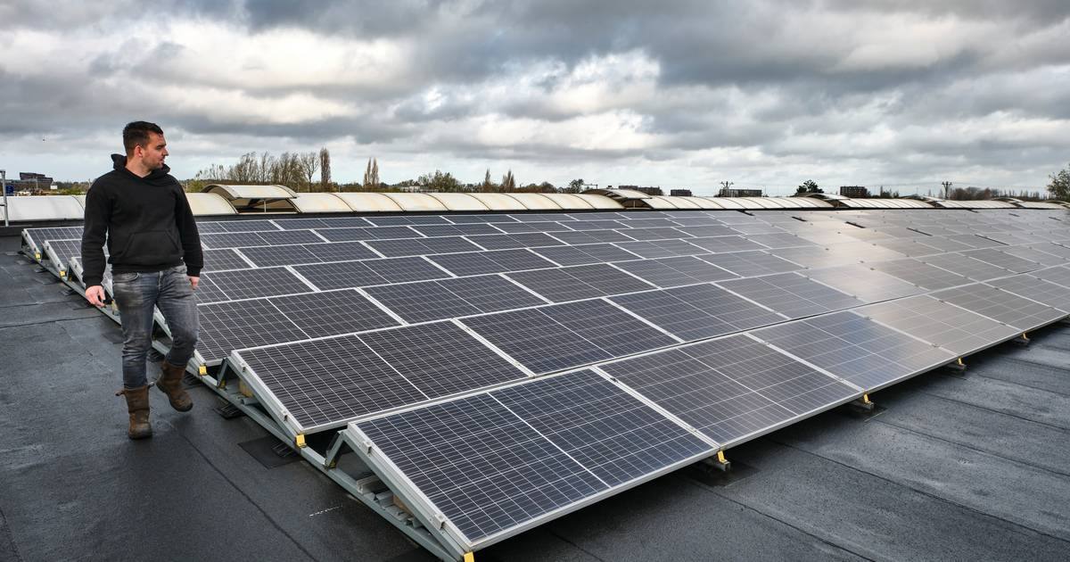 Deze Gemeente Heeft Naar Verhouding De Meeste Zonnepanelen