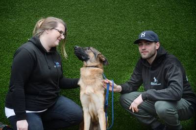 Jacco en Marloes redden Duitse herder Chef van dodelijke spuit