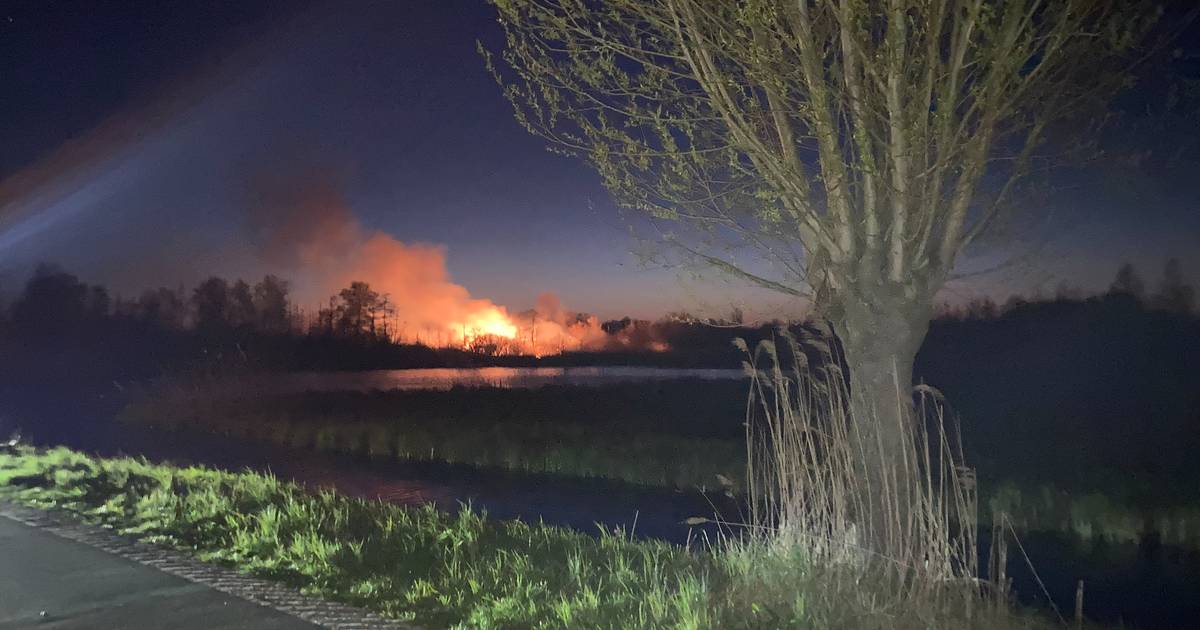 Incendie dans la réserve naturelle de De Wieden sous contrôle : “Cela aurait pu être pire” |  Nouvelles