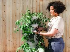 Groenliefhebbers opgelet! Dit weekend is er een planten- en stekjesruilbeurs in Veenendaal