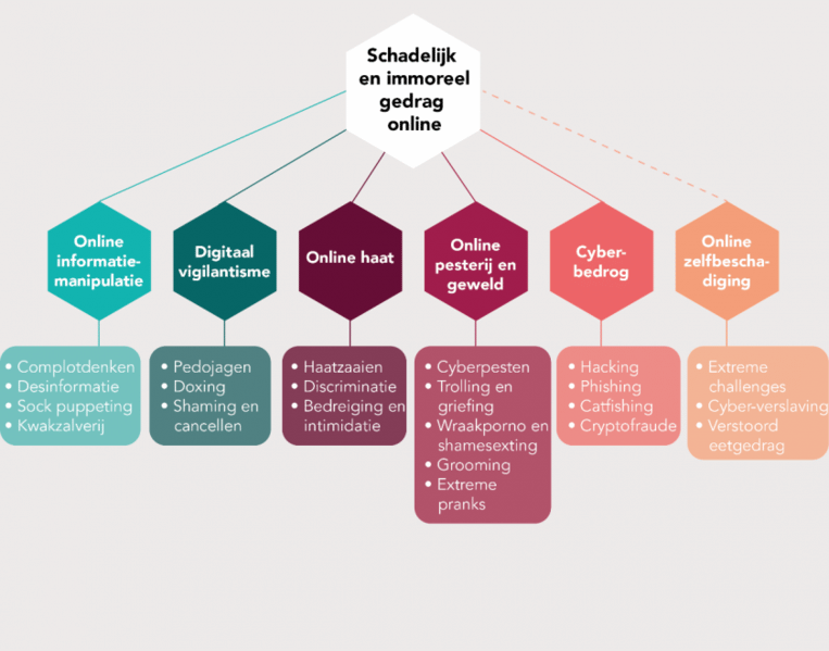 De taxonomie van schadelijk en immoreel online gedrag volgens het Rathenau Instituut Beeld Rathenau Instituut