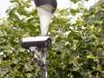 Big Brother in Soesterberg: wat doen die camera’s toch plots in de straat? ‘Dit mag toch niet zomaar?’
