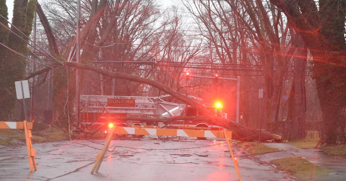 Severe winter storm kills at least three in US |  Weather news