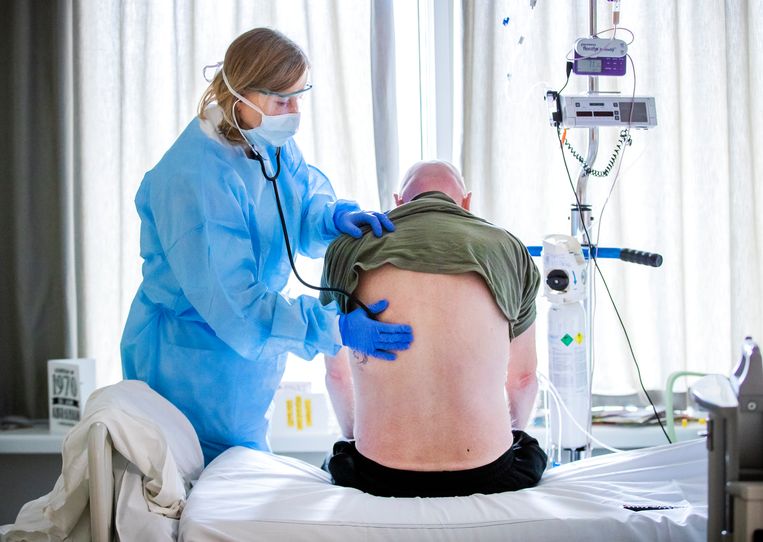 Een internist-infectioloog luistert naar de longen van een coronapatient op de verpleegafdeling voor coronapatienten van het HMC Westeinde ziekenhuis. Beeld Hollandse Hoogte /  ANP