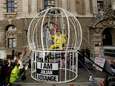Ontwerpster Vivienne Westwood protesteert in gigantische kooi, verkleed als kanarievogel 