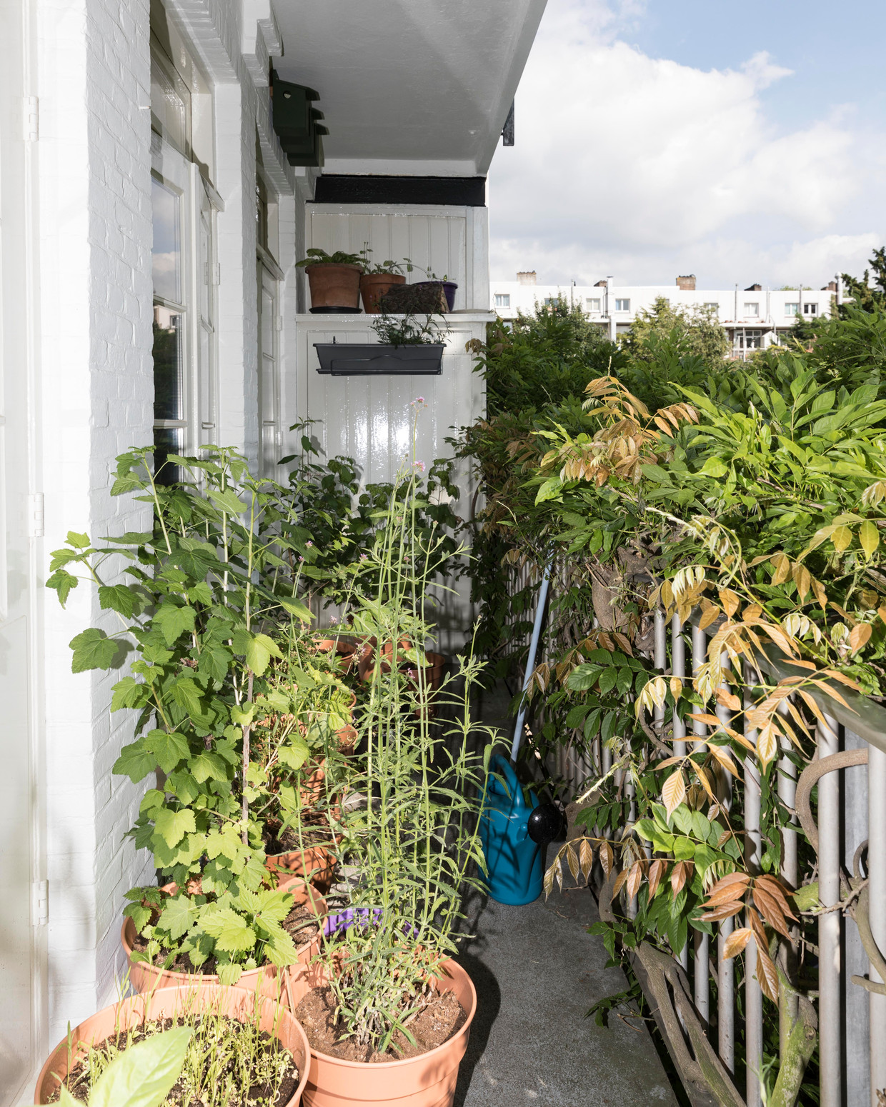 Caspars balkon. Beeld Rebecca Fertinel