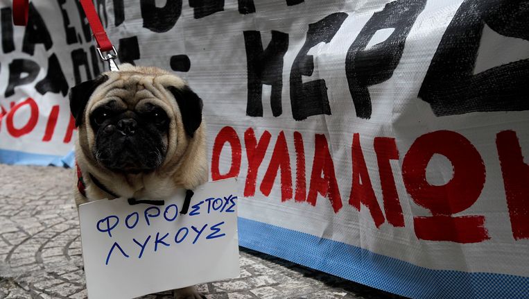 Een Griekse hond bij een protest in Athene. 'Belast de geldwolven' staat er op het bordje. Beeld EPA
