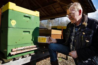 Dit is hét moment om de gevreesde Aziatische hoornaar te bestrijden: ‘Op jacht met witte wijn en tra