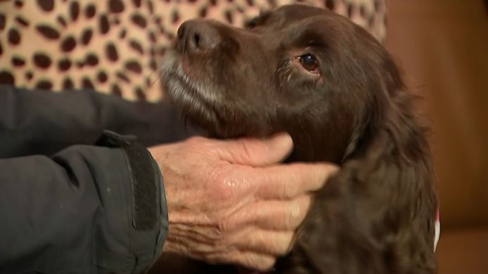 Les propriétaires de Cassie sont aux anges