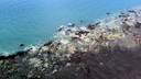 Luchtfoto van een verbleekt koraal; op meer plaatsen in de wereld, bijvoorbeeld ook het beroemde Great Barrier Reef bij Australië, lijden koraalriffen onder de klimaatveranderingen. (Het afgebeelde rif is niet in Diani, Kenia)