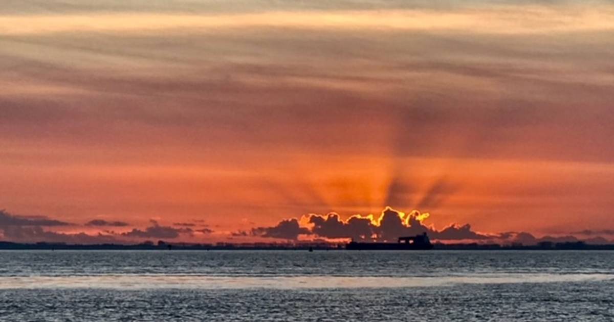 MIJN FOTO | Soms heb je geluk