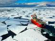 Belgische onderzoekster op missie naar 'mysterieus ecosysteem' op Antarctica